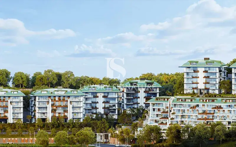 Luxury Signature Property