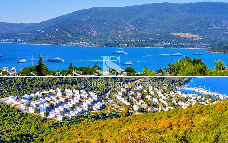 Luxury Signature Property