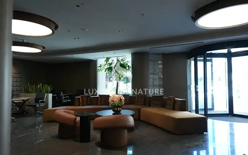 Luxury Signature Property