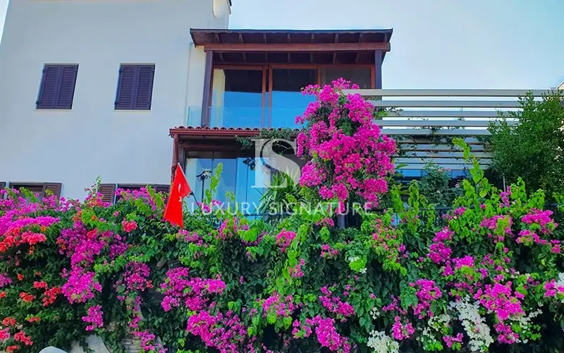 Luxury Signature Property