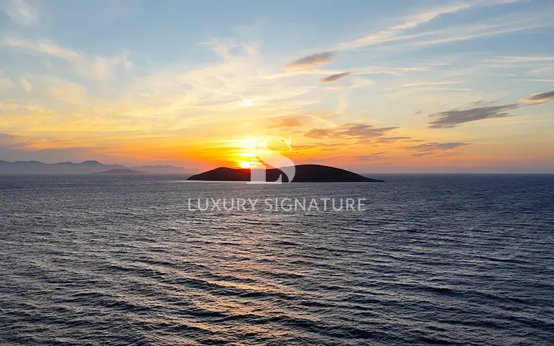 Luxury Signature Property