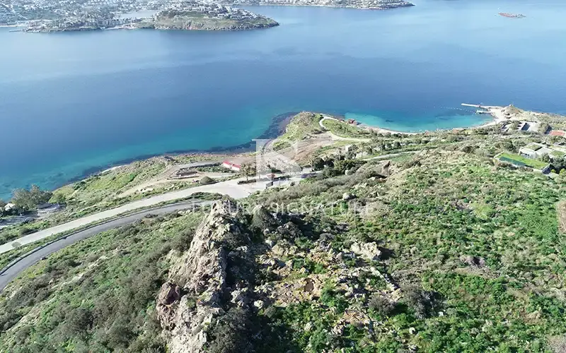 Luxury Signature Property