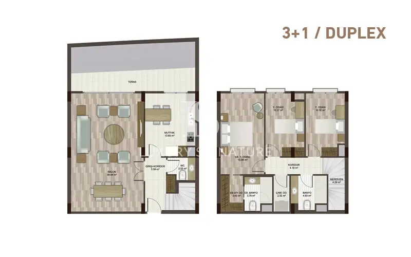 Luxury Signature Property