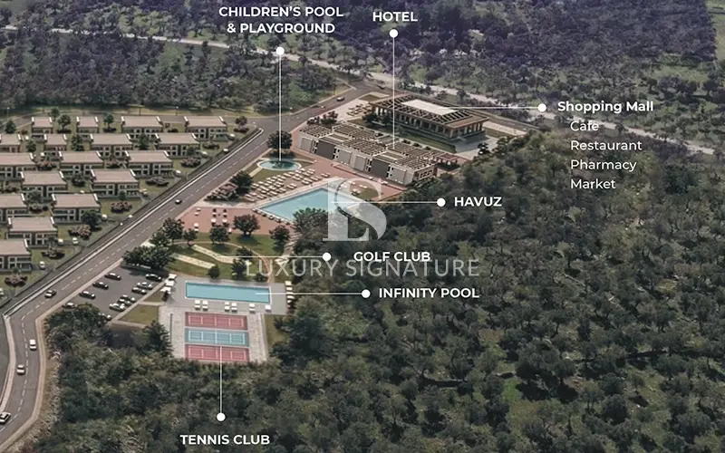 Luxury Signature Property
