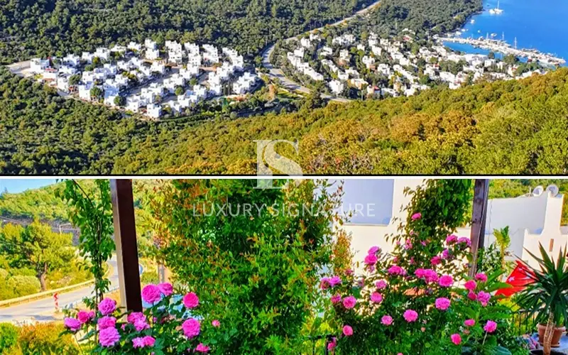 Luxury Signature Property