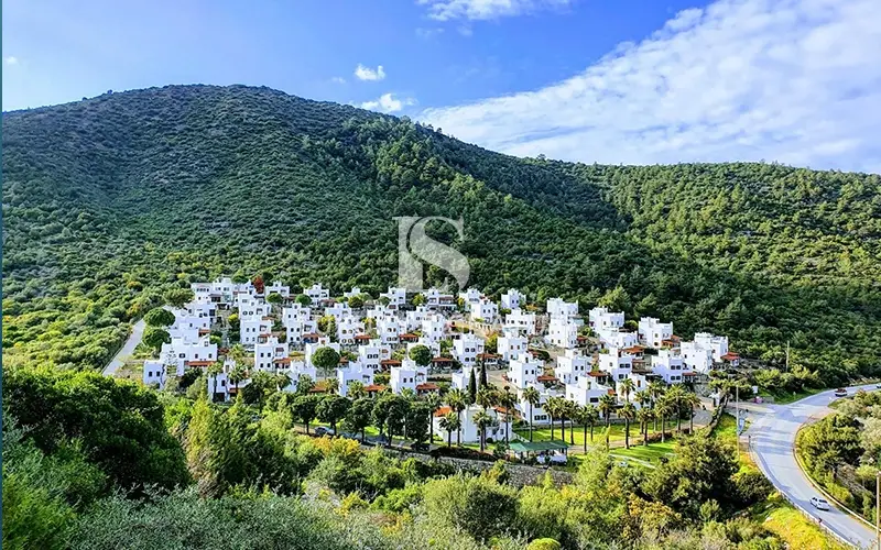 Luxury Signature Property