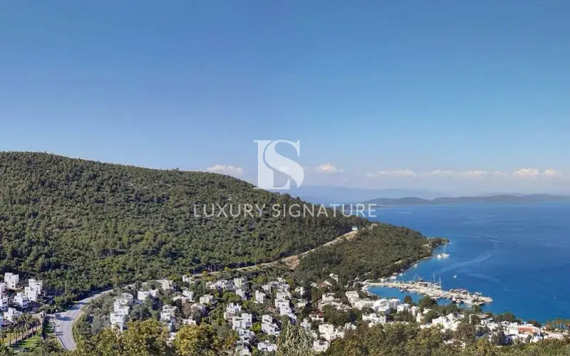 Luxury Signature Property