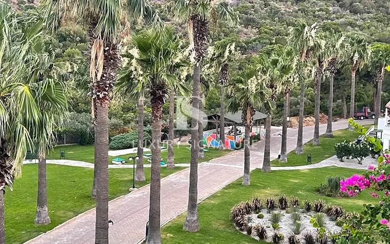 Luxury Signature Property