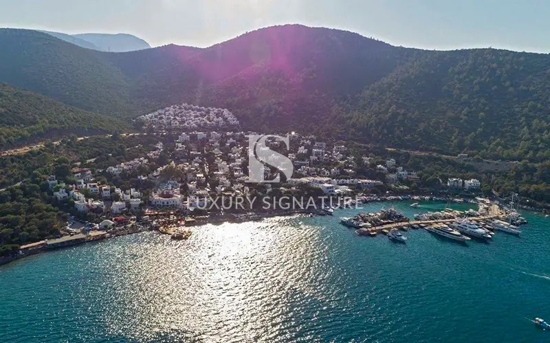 Luxury Signature Property