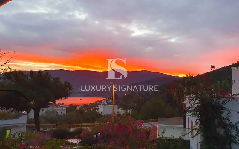 Luxury Signature Property