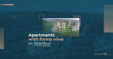 آپارتمان با منظره جنگل در استانبول