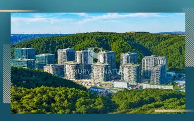 MASLAK KORU