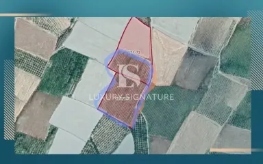 LAND IN AFYON