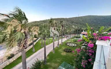 Luxury Signature Property