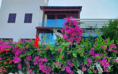 Luxury Signature Property