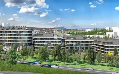 Luxury Signature مشاور املاک