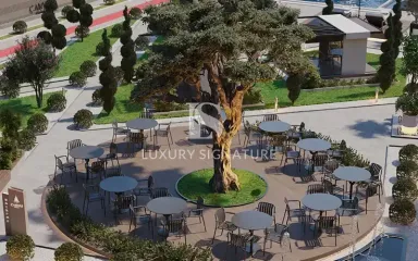 Luxury Signature Property