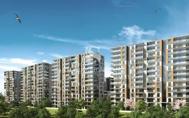 Luxury Signature Property