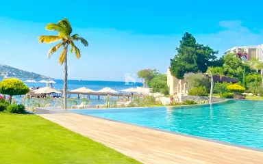 Luxury Signature Property