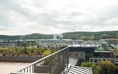 Luxury Signature مشاور املاک