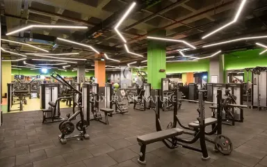 Luxury Signature Property