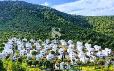 Luxury Signature Property