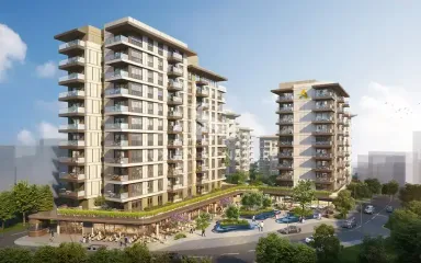 Luxury Signature Property