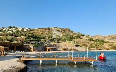 Luxury Signature Property