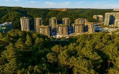Luxury Signature Property
