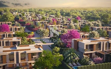 Luxury Signature Property