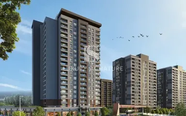 Luxury Signature مشاور املاک