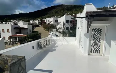 Luxury Signature Property