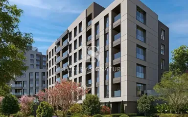 Luxury Signature Property