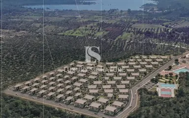 Luxury Signature Property