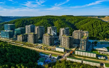 Luxury Signature Property