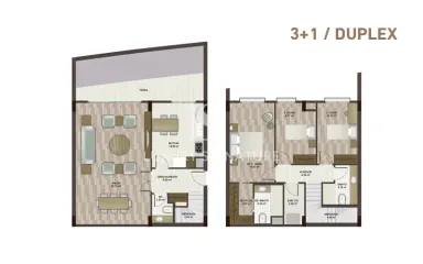 Luxury Signature Property