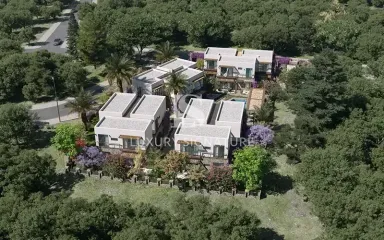 Luxury Signature Property