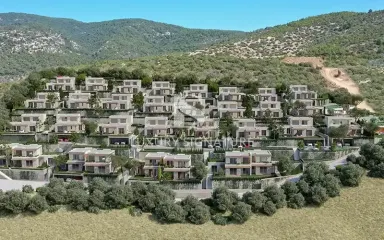 Luxury Signature Property