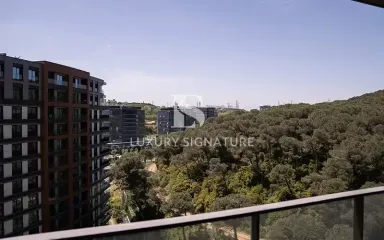 Luxury Signature Property
