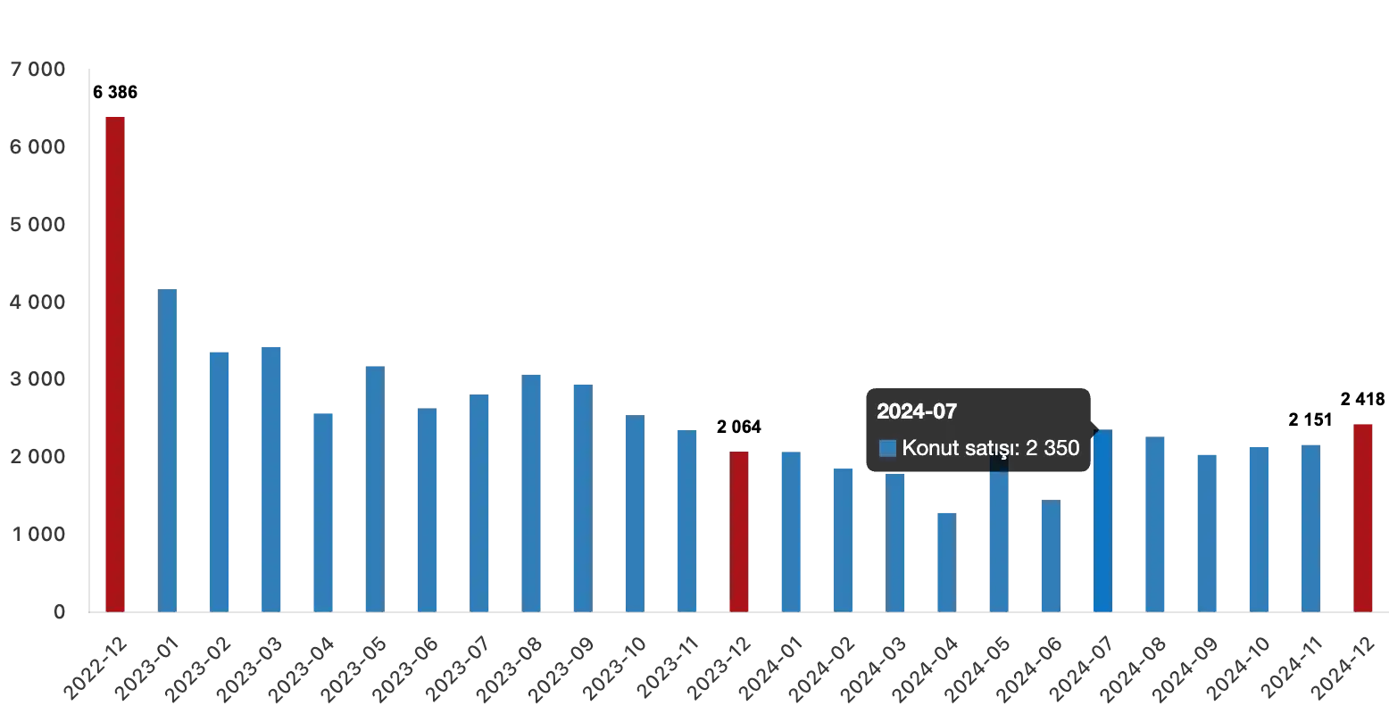 housing sales in turkey 2024